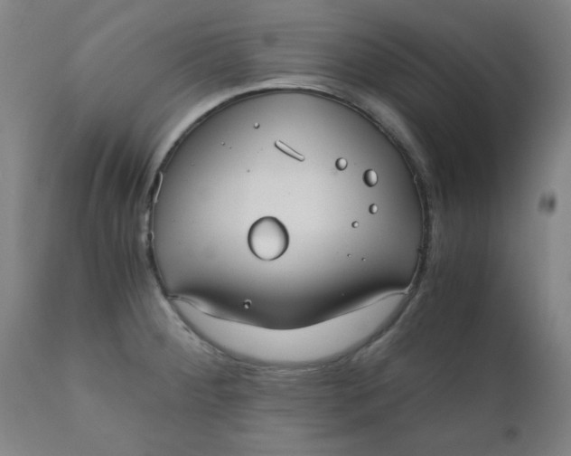 X0000110671284200906261249
