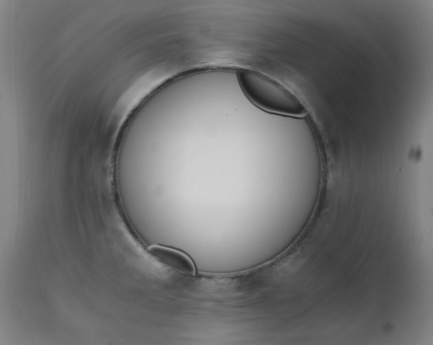 X0000110671285200906261249