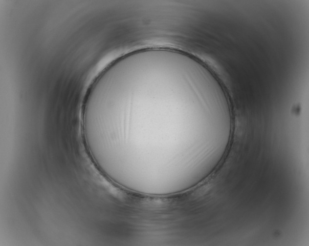 X0000110671286200906261249