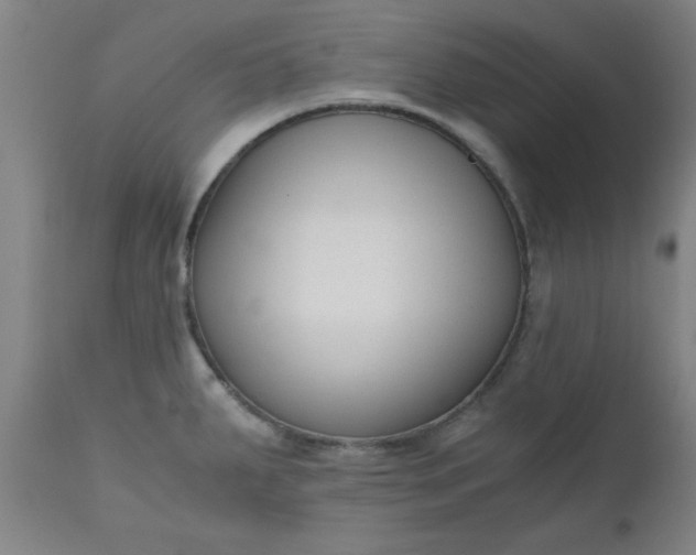 X0000110671287200906261249