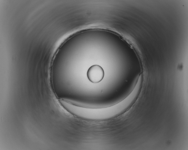 X0000110671288200906261249