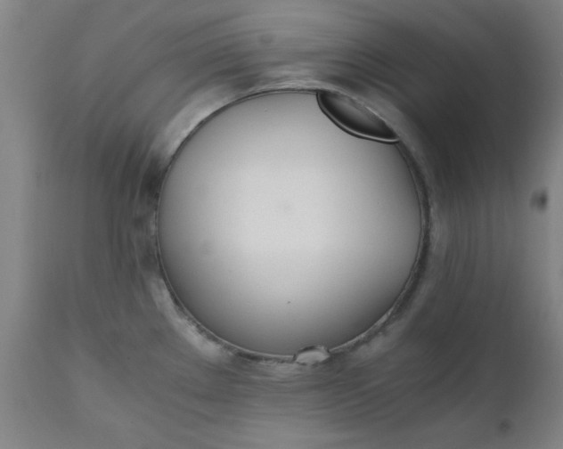 X0000110671289200906261249