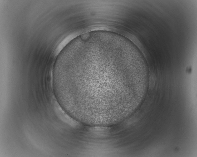 X0000110671290200906261249