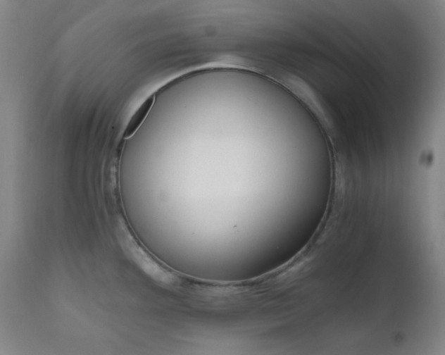 X0000110671292200906261249