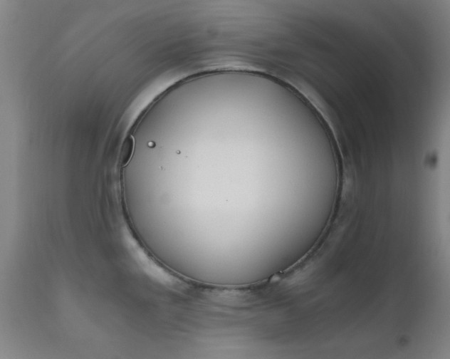 X0000110671293200906261249