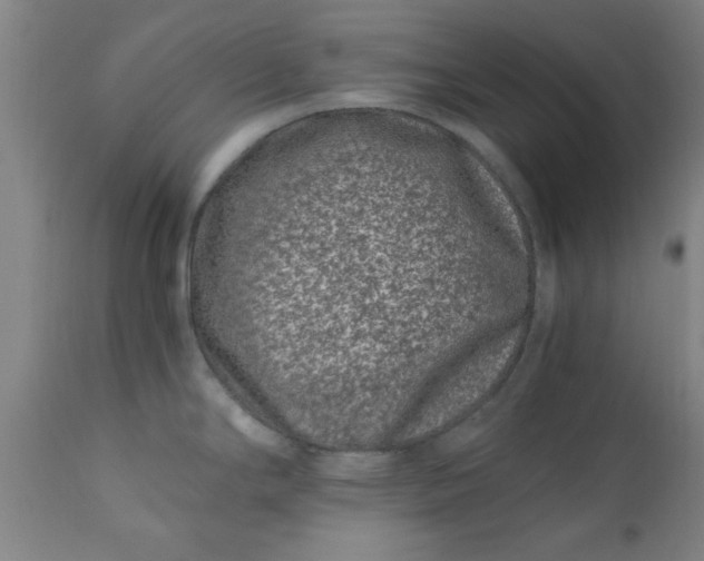 X0000110671294200906261249