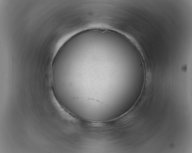 X0000110671295200906261248