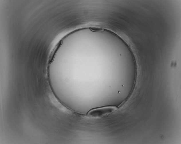 X0000110671296200906261248