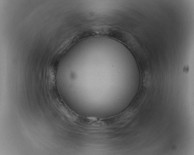 X0000110671298200906261248