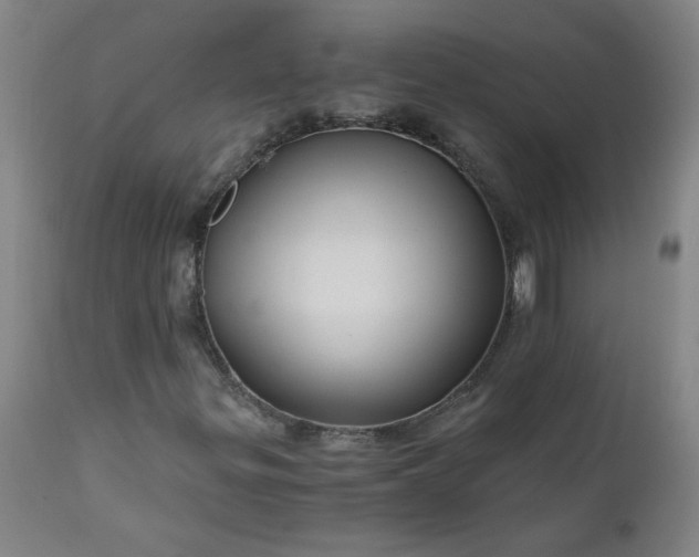 X0000110671299200906261248