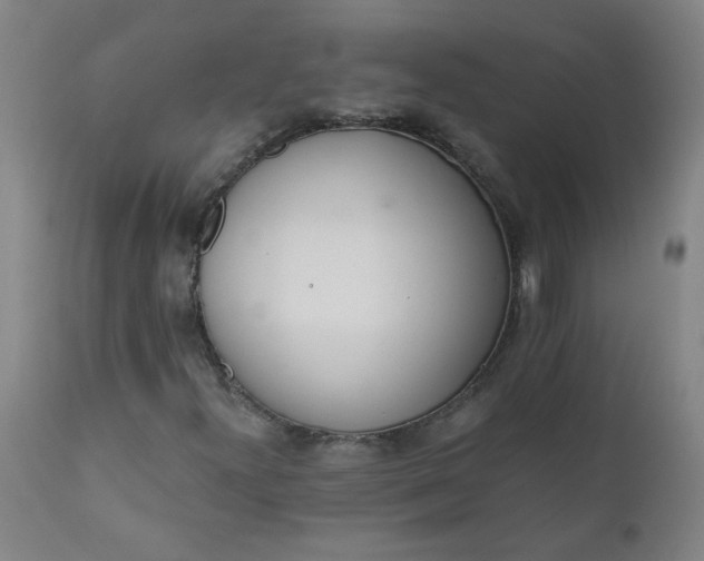 X0000110671300200906261248