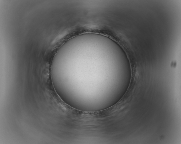 X0000110671301200906261248