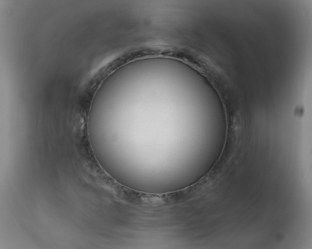 X0000110671302200906261248