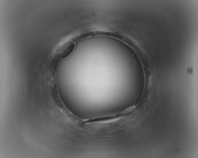X0000110671303200906261248
