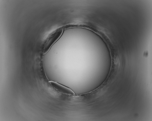 X0000110671304200906261248
