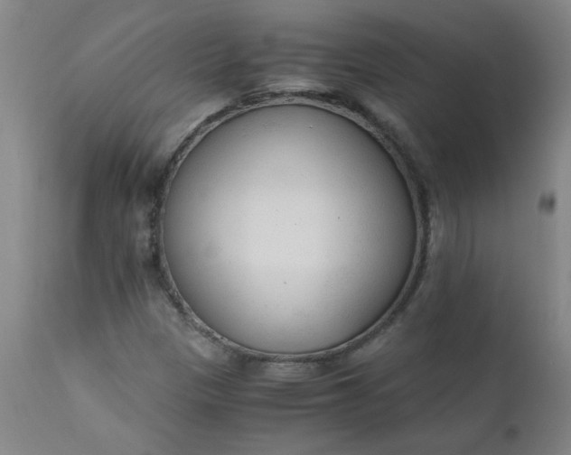 X0000110671305200906261248