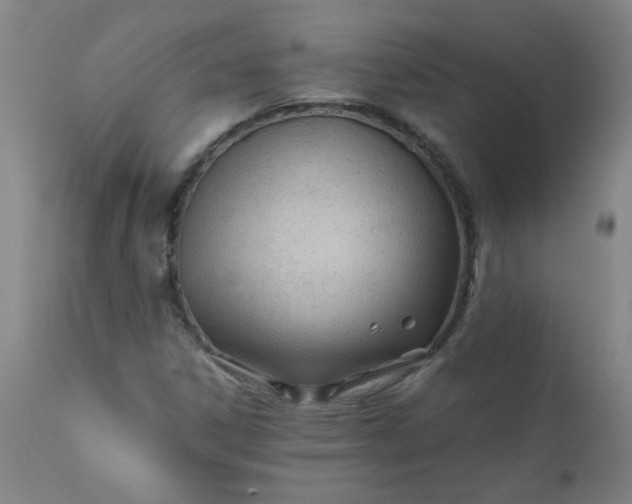 X0000110671306200906261248