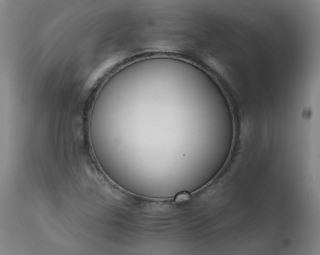 X0000110671307200906261248