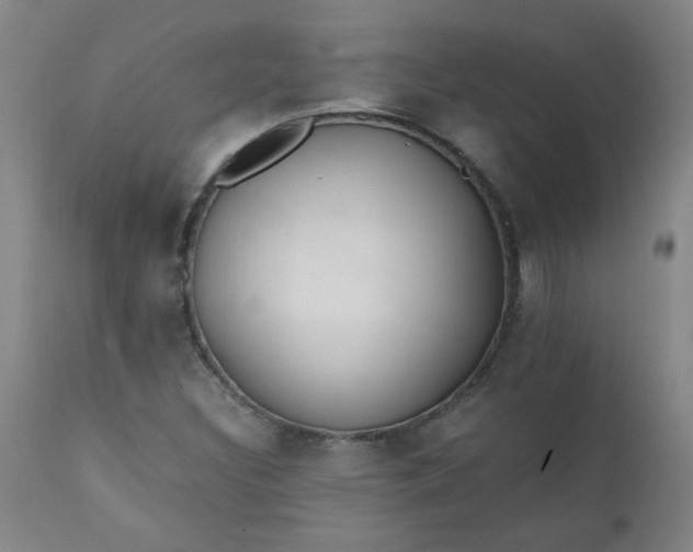 X0000110671308200906261248