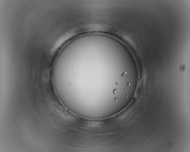 X0000110671309200906261248