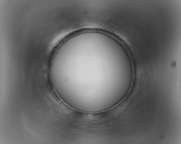 X0000110671311200906261248