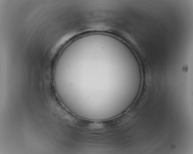 X0000110671315200906261248