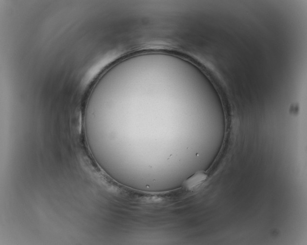 X0000110671317200906261248
