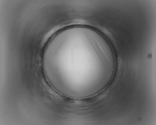 X0000110671318200906261248