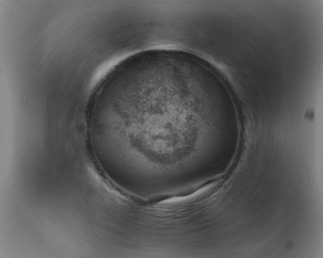 X0000110671319200906261248