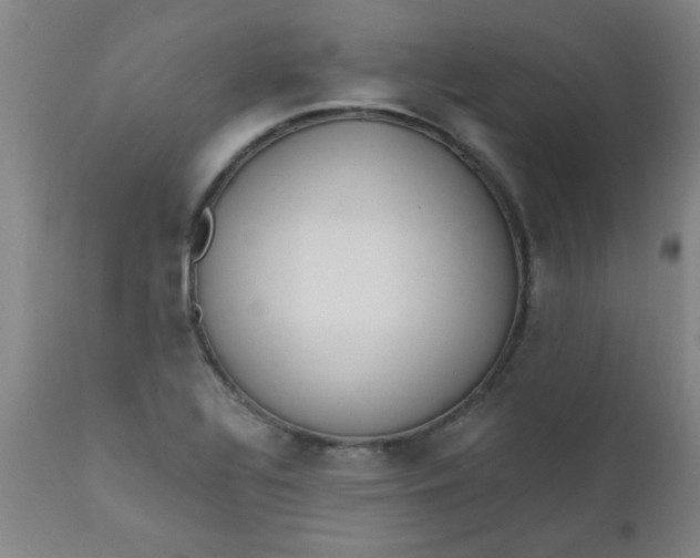 X0000110671320200906261248