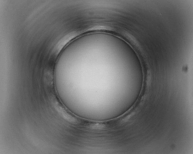 X0000110671321200906261248