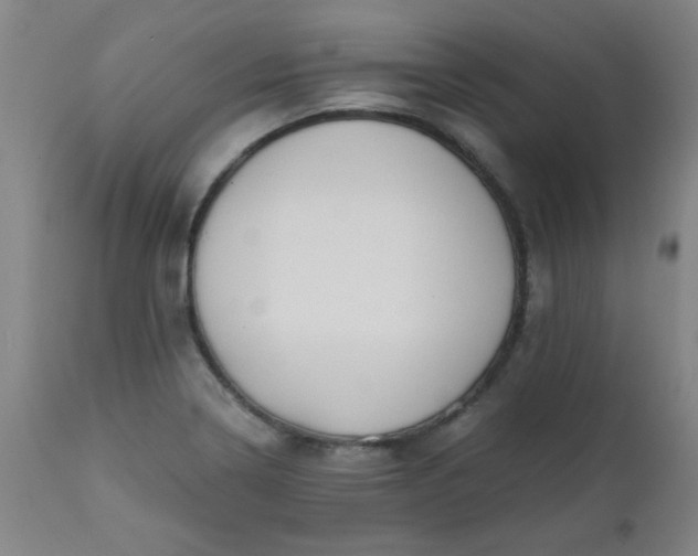 X0000110671322200906261248