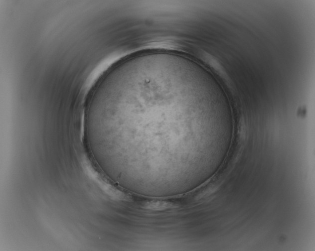 X0000110671323200906261248