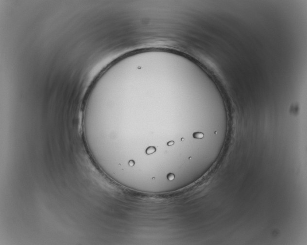 X0000110671324200906261248