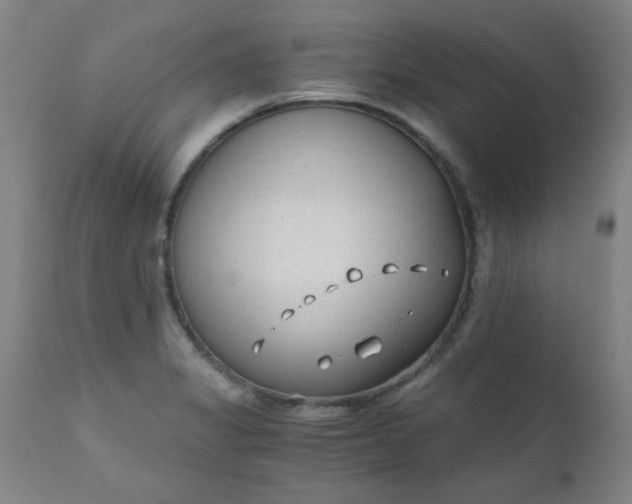 X0000110671325200906261248