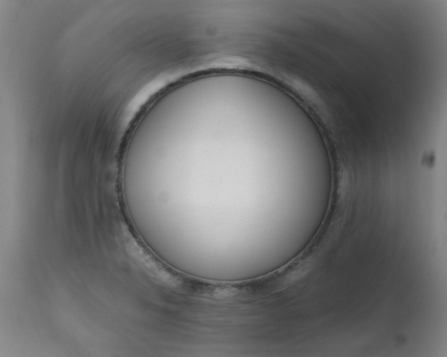 X0000110671326200906261248