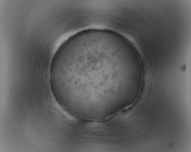 X0000110671327200906261248