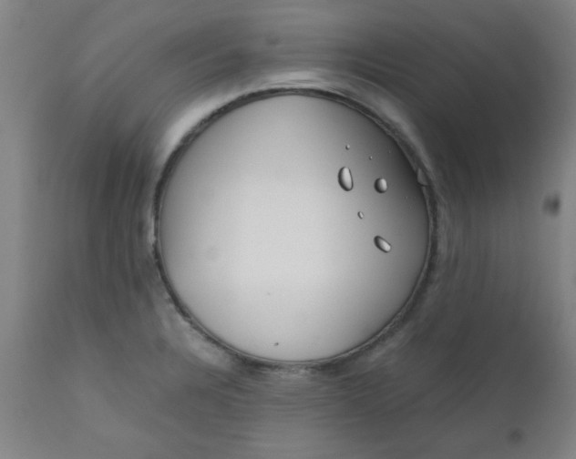 X0000110671328200906261248