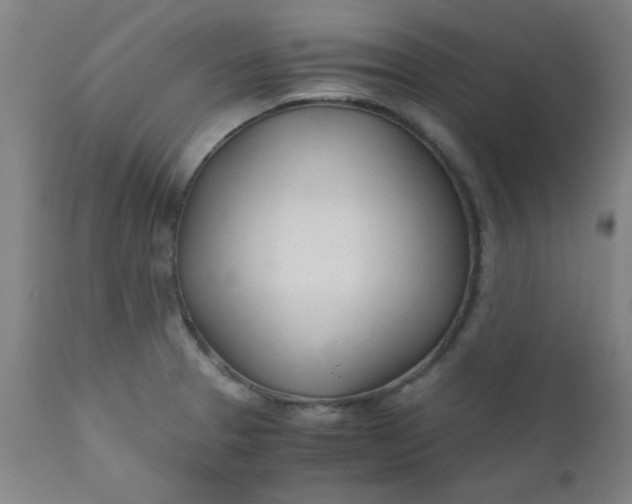 X0000110671329200906261248