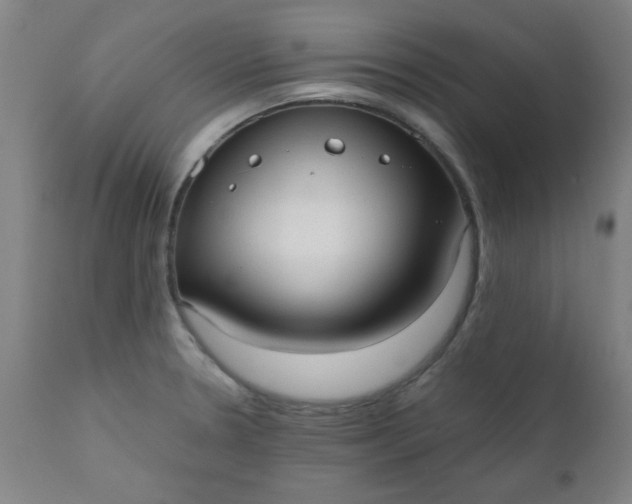 X0000110671330200906261248