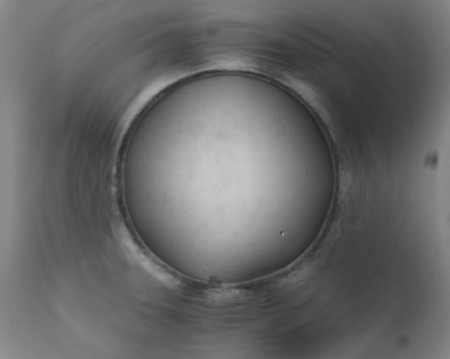 X0000110671331200906261248