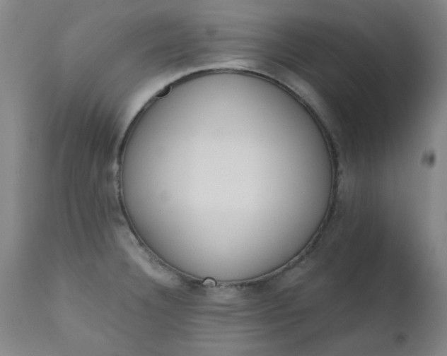 X0000110671332200906261248