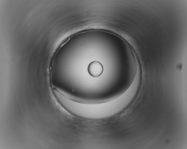 X0000110671334200906261248