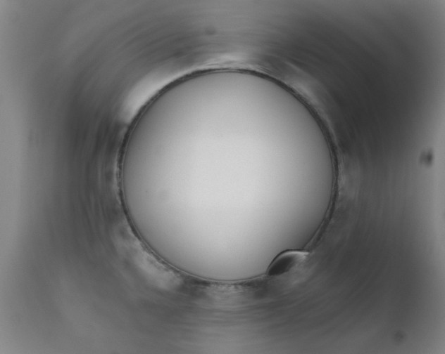 X0000110671336200906261248