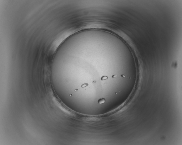 X0000110671337200906261248