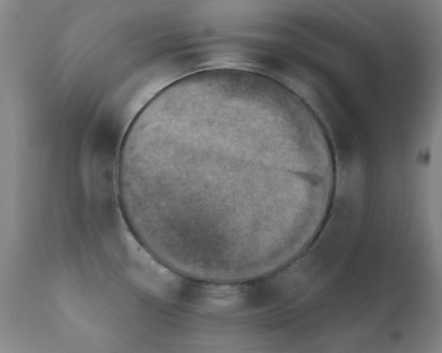 X0000110671338200906261248