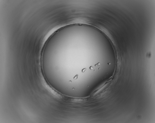 X0000110671339200906261248