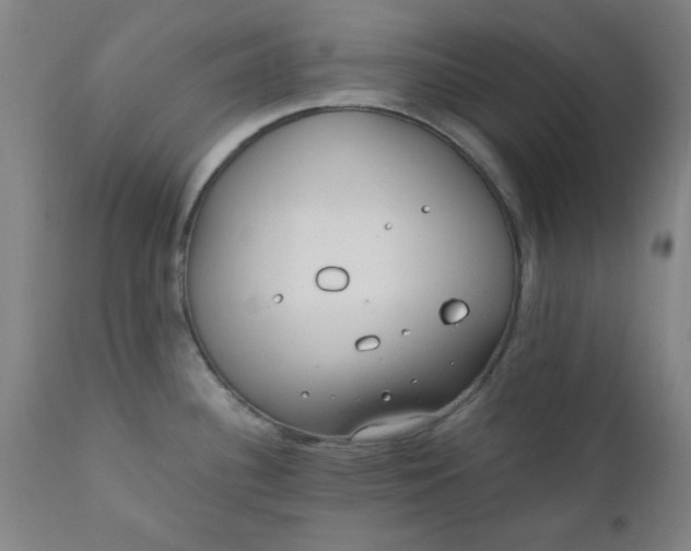 X0000110671340200906261248