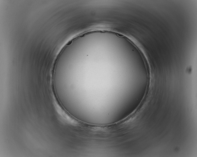 X0000110671341200906261248