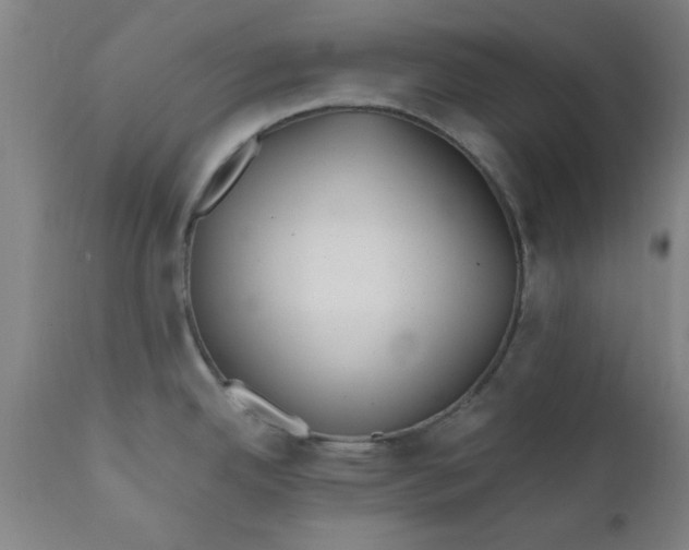 X0000110671342200906261248